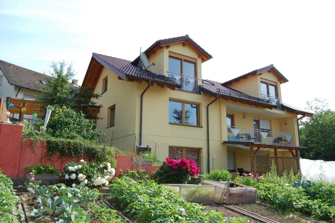 Ferienwohnung Grosso Gräfendorf Екстериор снимка