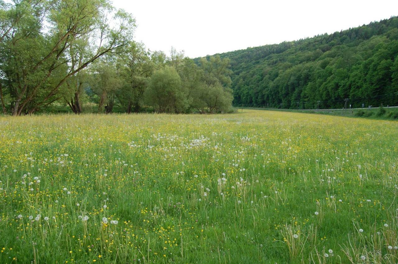Ferienwohnung Grosso Gräfendorf Екстериор снимка